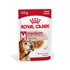 Royal Canin Medium Ageing saquetas em molho para cães , , large image number null